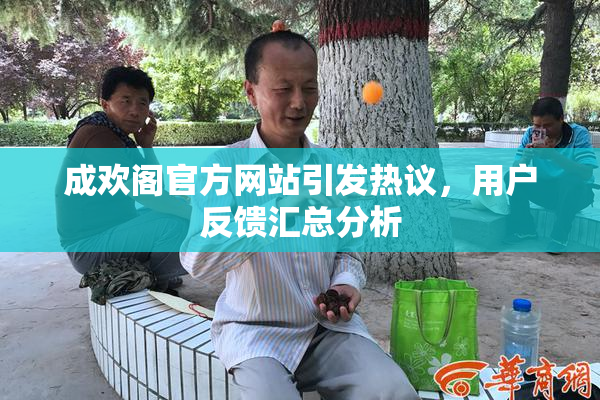 成欢阁官方网站引发热议，用户反馈汇总分析