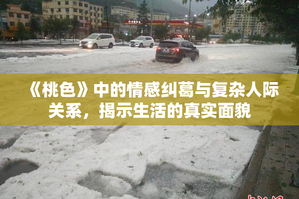 《桃色》中的情感纠葛与复杂人际关系，揭示生活的真实面貌
