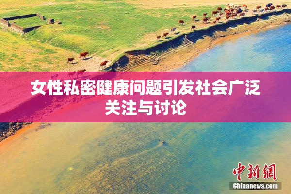 女性私密健康问题引发社会广泛关注与讨论