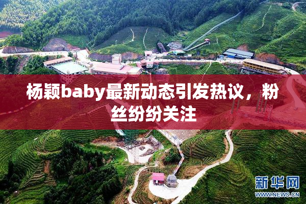 杨颖baby最新动态引发热议，粉丝纷纷关注