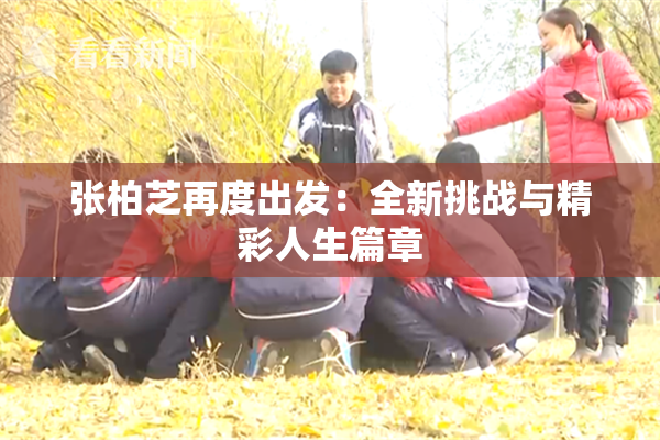 张柏芝再度出发：全新挑战与精彩人生篇章