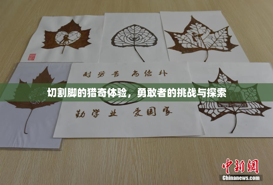 切割脚的猎奇体验，勇敢者的挑战与探索