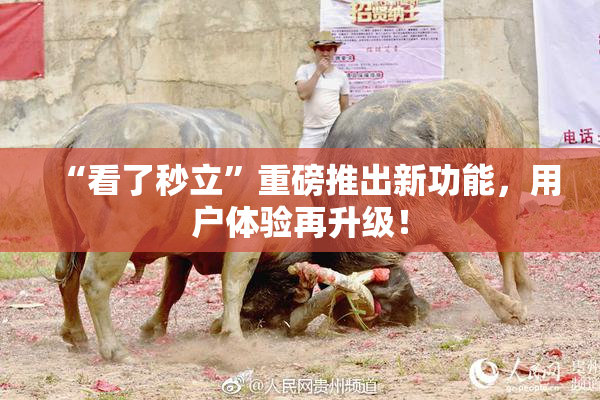 “看了秒立”重磅推出新功能，用户体验再升级！