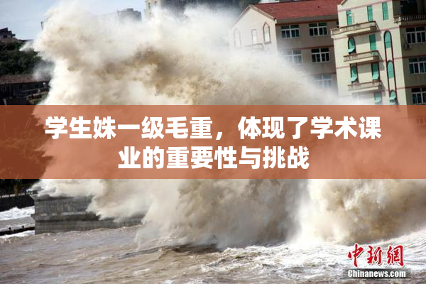 学生姝一级毛重，体现了学术课业的重要性与挑战