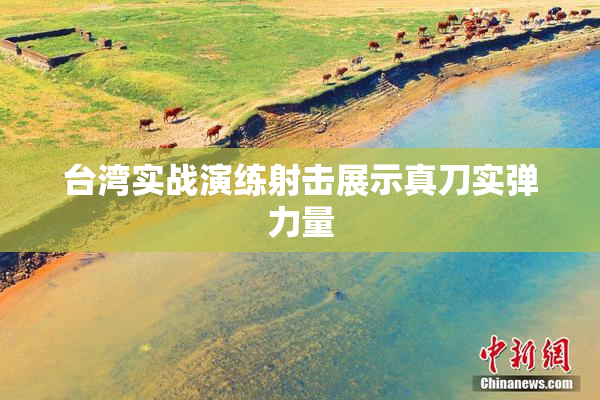 台湾实战演练射击展示真刀实弹力量