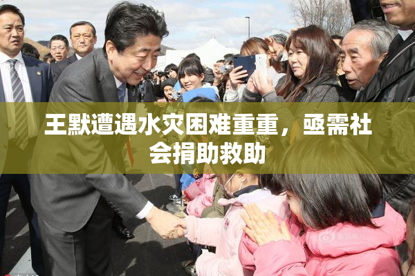 王默遭遇水灾困难重重，亟需社会捐助救助