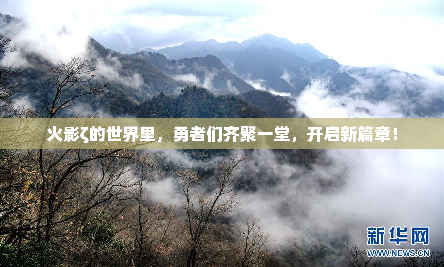 火影ζ的世界里，勇者们齐聚一堂，开启新篇章！