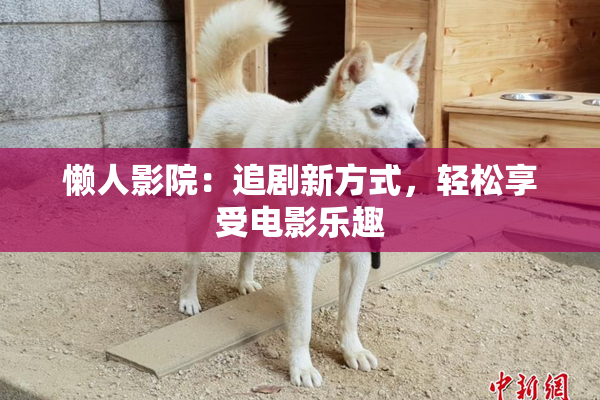 懒人影院：追剧新方式，轻松享受电影乐趣