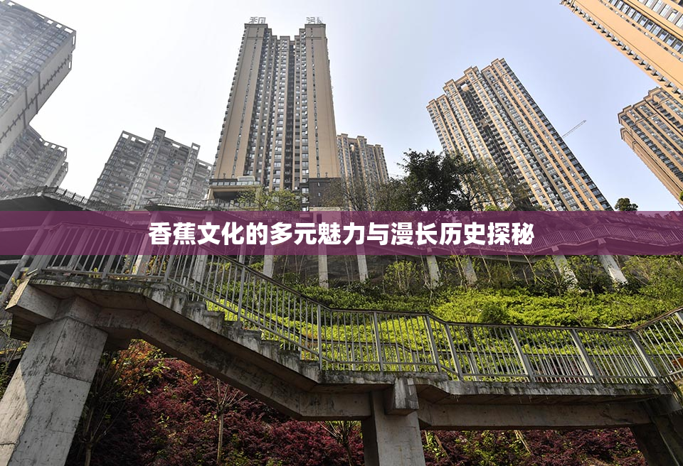 香蕉文化的多元魅力与漫长历史探秘