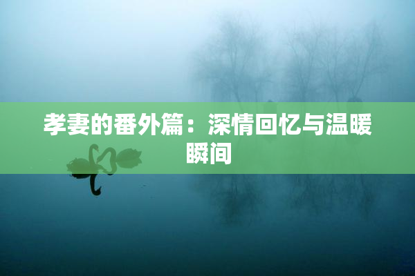孝妻的番外篇：深情回忆与温暖瞬间