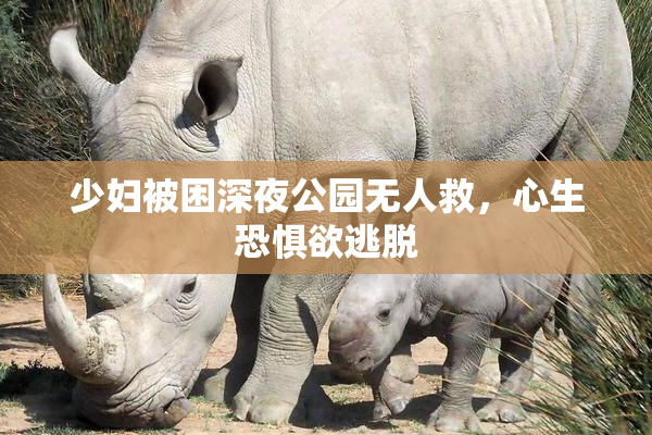 少妇被困深夜公园无人救，心生恐惧欲逃脱