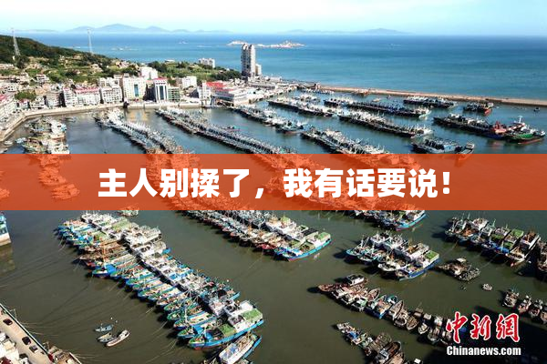 主人别揉了，我有话要说！