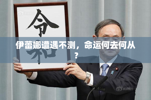 伊蕾娜遭遇不测，命运何去何从？