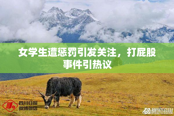 女学生遭惩罚引发关注，打屁股事件引热议