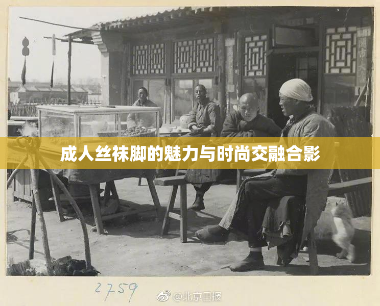 成人丝袜脚的魅力与时尚交融合影