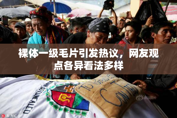 裸体一级毛片引发热议，网友观点各异看法多样