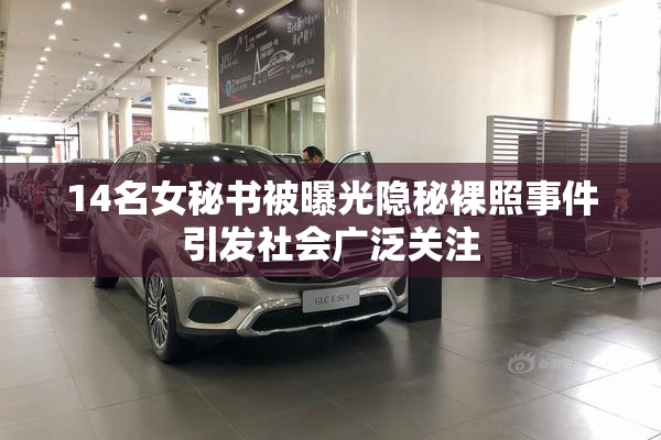 14名女秘书被曝光隐秘裸照事件引发社会广泛关注