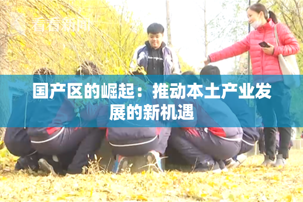国产区的崛起：推动本土产业发展的新机遇