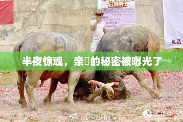 半夜惊魂，亲妺的秘密被曝光了
