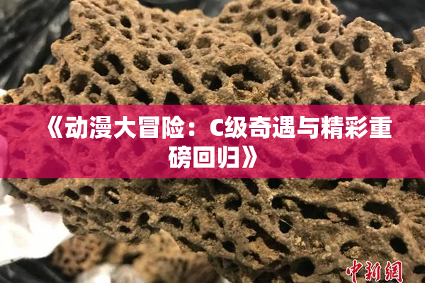 《动漫大冒险：C级奇遇与精彩重磅回归》