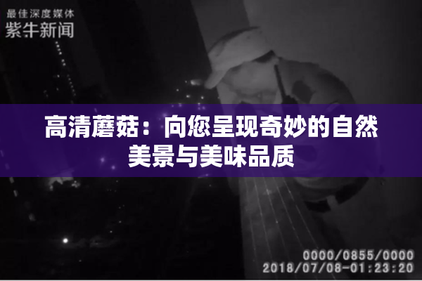 高清蘑菇：向您呈现奇妙的自然美景与美味品质