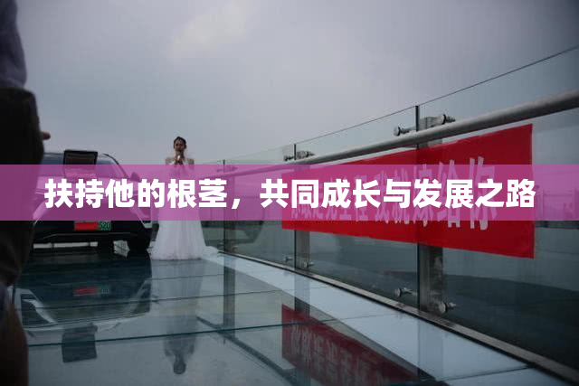 扶持他的根茎，共同成长与发展之路