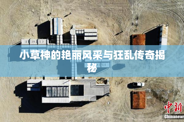 小草神的艳丽风采与狂乱传奇揭秘