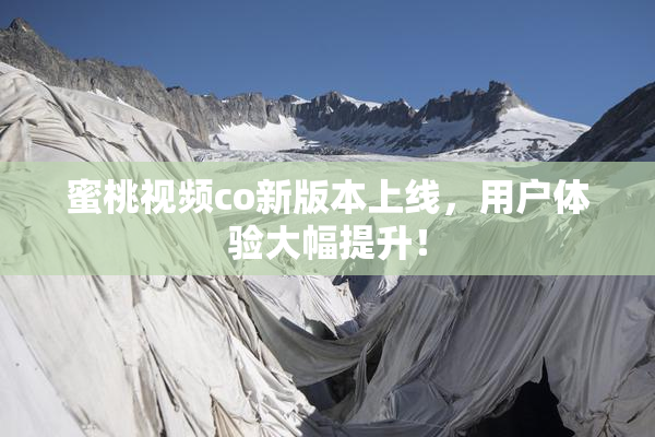 蜜桃视频co新版本上线，用户体验大幅提升！