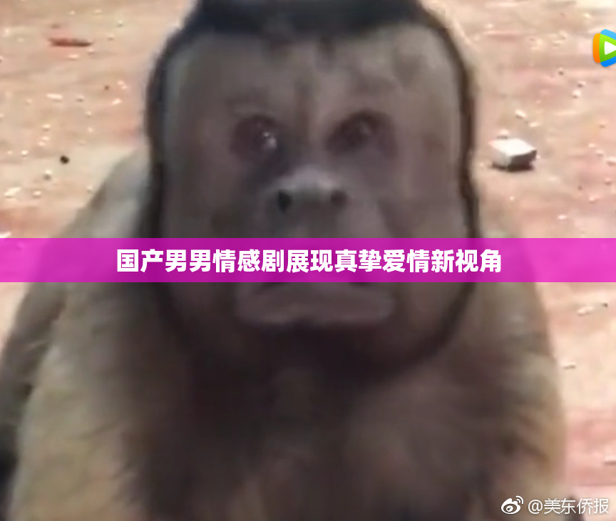 国产男男情感剧展现真挚爱情新视角