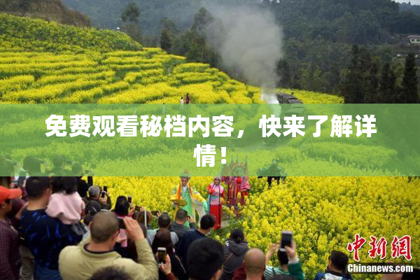 免费观看秘档内容，快来了解详情！