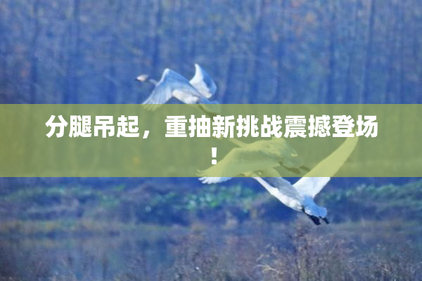 分腿吊起，重抽新挑战震撼登场！