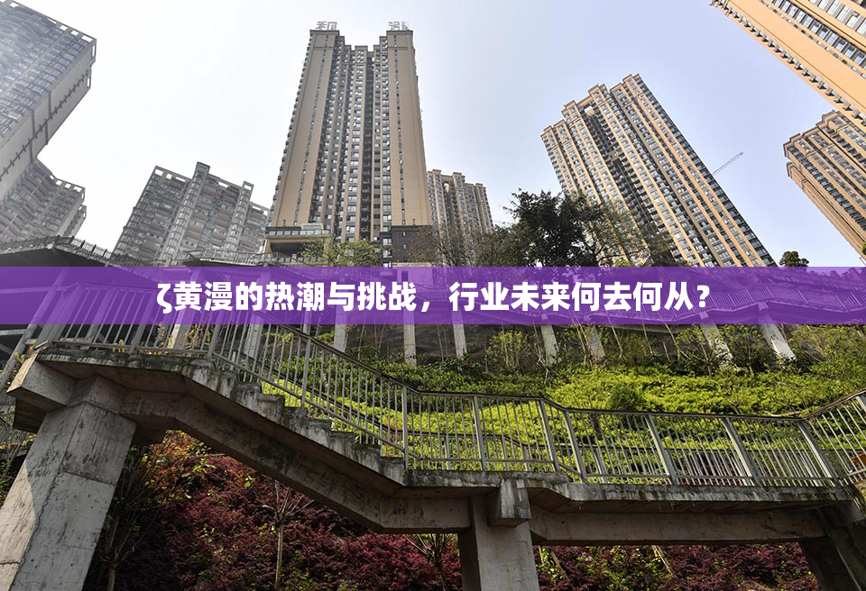 ζ黄漫的热潮与挑战，行业未来何去何从？