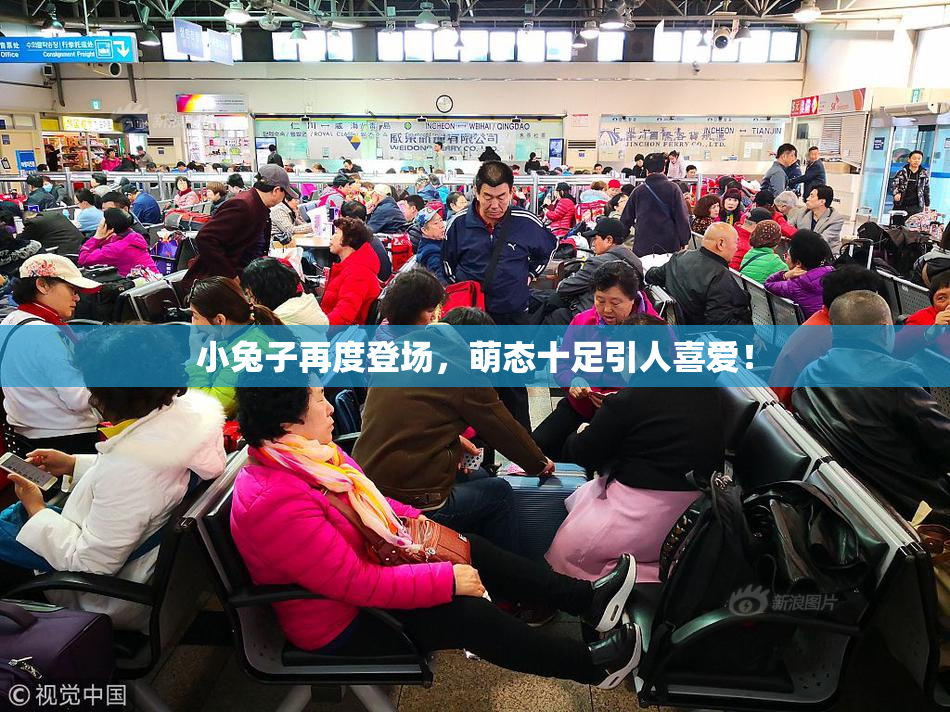 小兔子再度登场，萌态十足引人喜爱！
