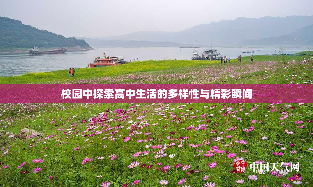 校园中探索高中生活的多样性与精彩瞬间