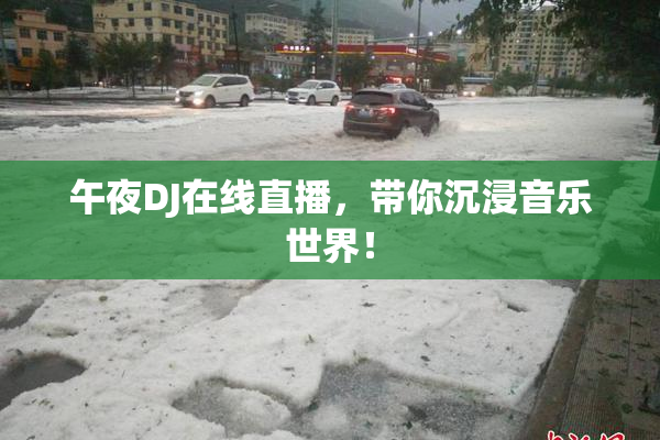 午夜DJ在线直播，带你沉浸音乐世界！