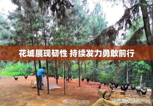 花城展现韧性 持续发力勇敢前行
