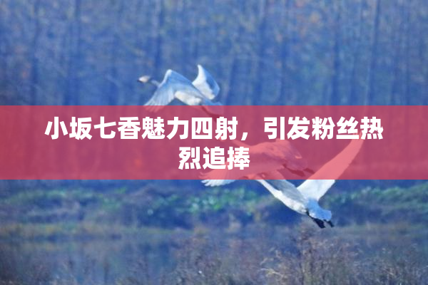 小坂七香魅力四射，引发粉丝热烈追捧