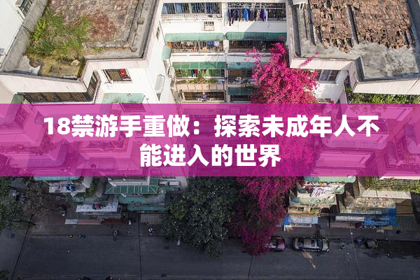 18禁游手重做：探索未成年人不能进入的世界