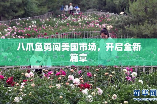 八爪鱼勇闯美国市场，开启全新篇章