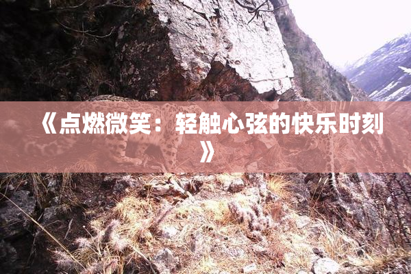 《点燃微笑：轻触心弦的快乐时刻》