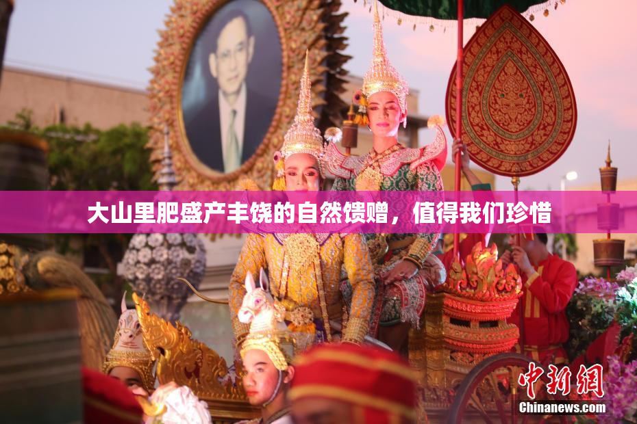 大山里肥盛产丰饶的自然馈赠，值得我们珍惜
