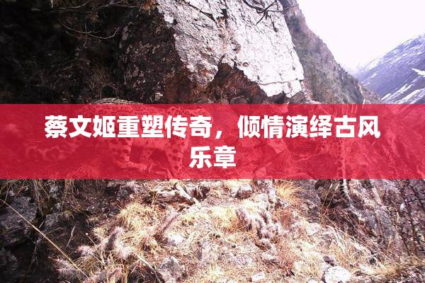 蔡文姬重塑传奇，倾情演绎古风乐章