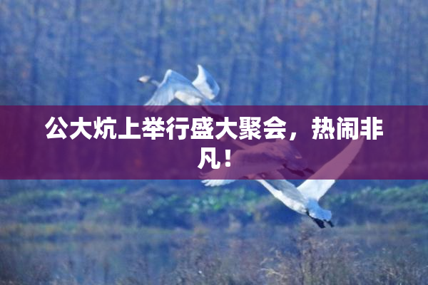 公大炕上举行盛大聚会，热闹非凡！