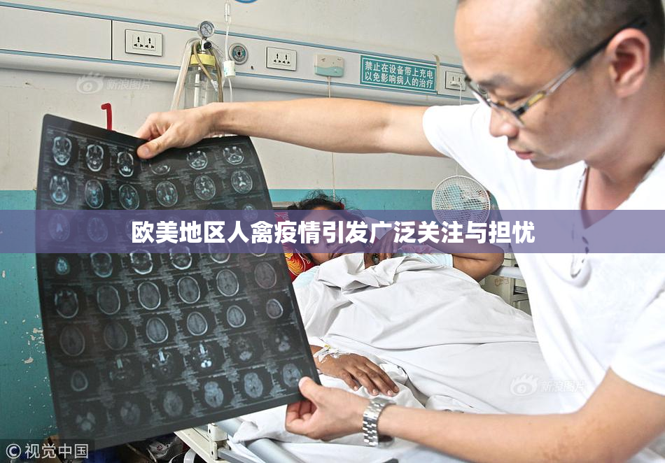 欧美地区人禽疫情引发广泛关注与担忧