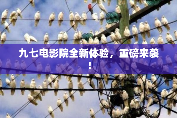 九七电影院全新体验，重磅来袭！