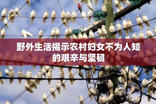 野外生活揭示农村妇女不为人知的艰辛与坚韧