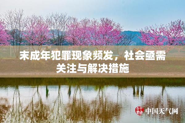 末成年犯罪现象频发，社会亟需关注与解决措施