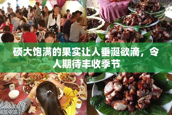 硕大饱满的果实让人垂涎欲滴，令人期待丰收季节
