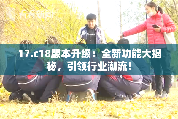 17.c18版本升级：全新功能大揭秘，引领行业潮流！