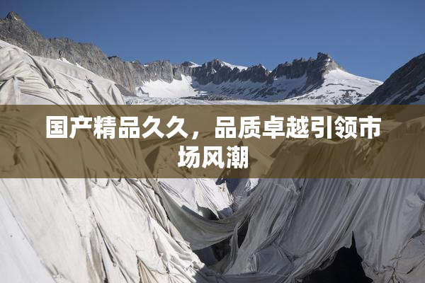 国产精品久久，品质卓越引领市场风潮